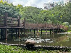 -深圳国际园林花卉博览园