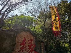 -杭州黄龙洞