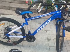 -道路口单车爱瓦士dahon大行