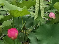 -大宁灵石公园西门票处