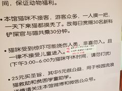 -猫咪博物馆(顶澳仔猫街店)