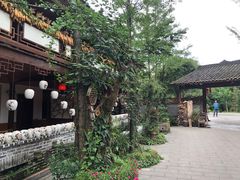 -青城甲(青城山店)