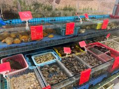 -坛南湾阿强农家乐.海鲜大排档老字号(福州地标美食店)