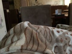 -钓鱼岛洗浴休闲会馆(卫星路店)