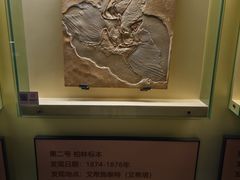 -辽宁古生物博物馆