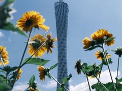 -海心沙亚运公园