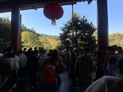 -庐山风景名胜区-东林大佛