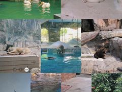 -珠海长隆海洋王国