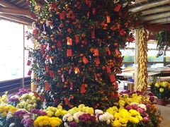 -顺德了能馆(虎门店)