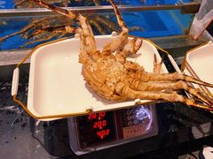 -蟹将军·松叶蟹和牛日料放题自助(K11店)