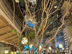 -桂满陇·海市蜃楼·黑金(国金店)