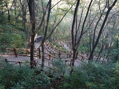 -大岭沟猕猴桃谷风景区