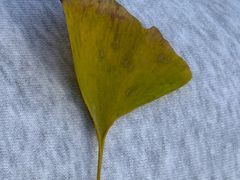 -敬亭山风景名胜区