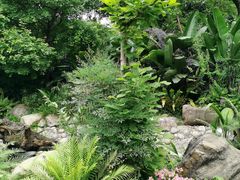 -成都市活水公园