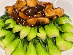-乐忻皇朝(上海中心大厦店)