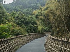 -福道