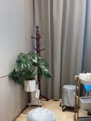 -杭州米兰柏羽医疗美容医院