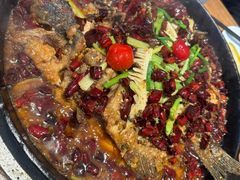 -老板恋上鱼(恒隆广场店)