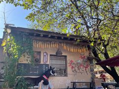 -牛背梁国家森林公园