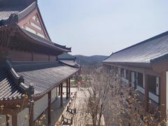 -横山寺