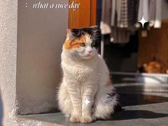 -麻雀咖啡SPARROW COFFEE(十全街店)