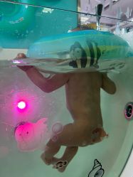 -贝贝熊(无锡长江绿岛店)