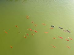 -莆田南少林寺