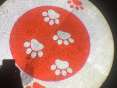 -猫咪博物馆(顶澳仔猫街店)