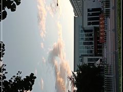 -中央民族大学