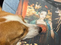 -作幺探案馆·剧本杀实景搜证