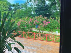 -国家植物园南园