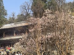 -潭柘寺景区