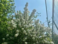 -杭州城北体育公园