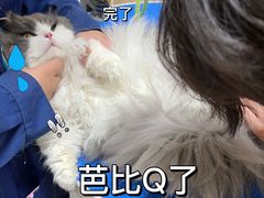 -佳雯宠物医院·皮肤科·内外科(春晓路分院)