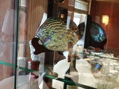 -温度铁板烧(亚泰大街店)