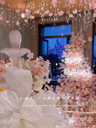 -迈瑞米求婚策划(静安店)