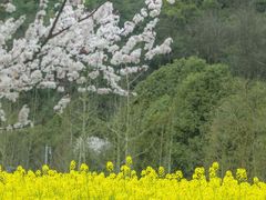 -贵阳市花溪国家城市湿地公园