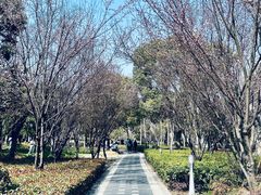 -石湖景区