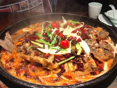 -老板恋上鱼(高新万达店)