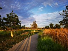 -汉长安城未央宫国家考古遗址公园