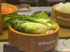 -龍歌自助小火锅(崂山丽达店)