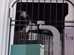 -派特宠物医院(圆融广场店)