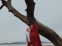-横山水库