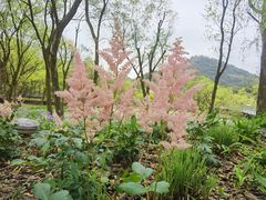 -西湖风景区-江洋畈生态公园