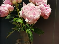 -有鱼·王鼎有鱼(水木秦淮店)