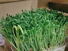-海底捞火锅(莘松路店)