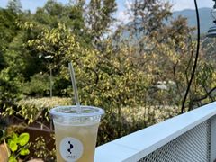 -原乡芦茨咖啡