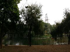-晓港公园