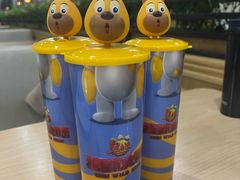 -郑州方特梦幻王国