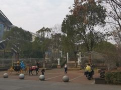 -三江森林温泉度假区